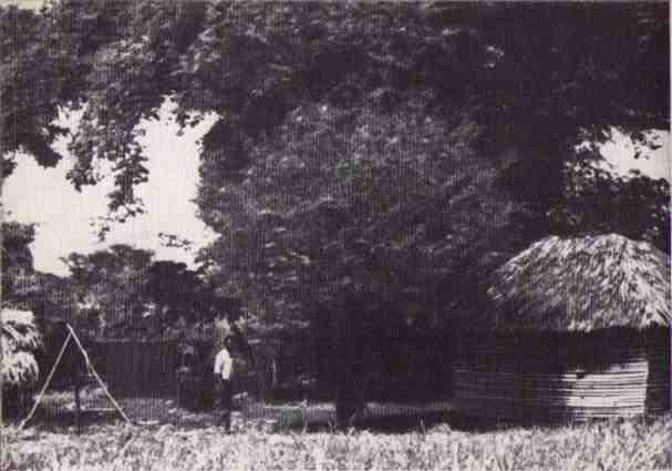 Пятнистый сфинкс. Пиппа бросает вызов (с иллюстрациями) - i_061.jpg