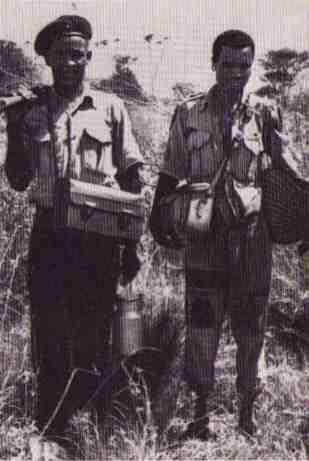 Пятнистый сфинкс. Пиппа бросает вызов (с иллюстрациями) - i_062.jpg