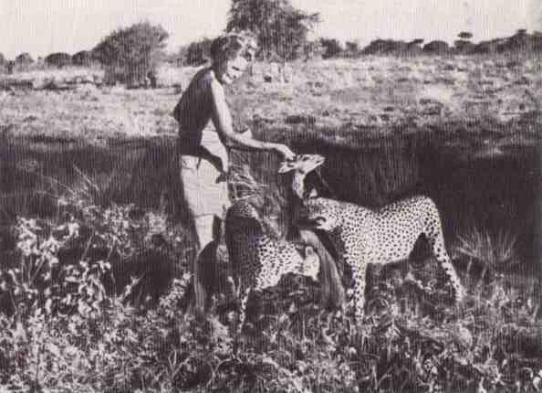 Пятнистый сфинкс. Пиппа бросает вызов (с иллюстрациями) - i_097.jpg