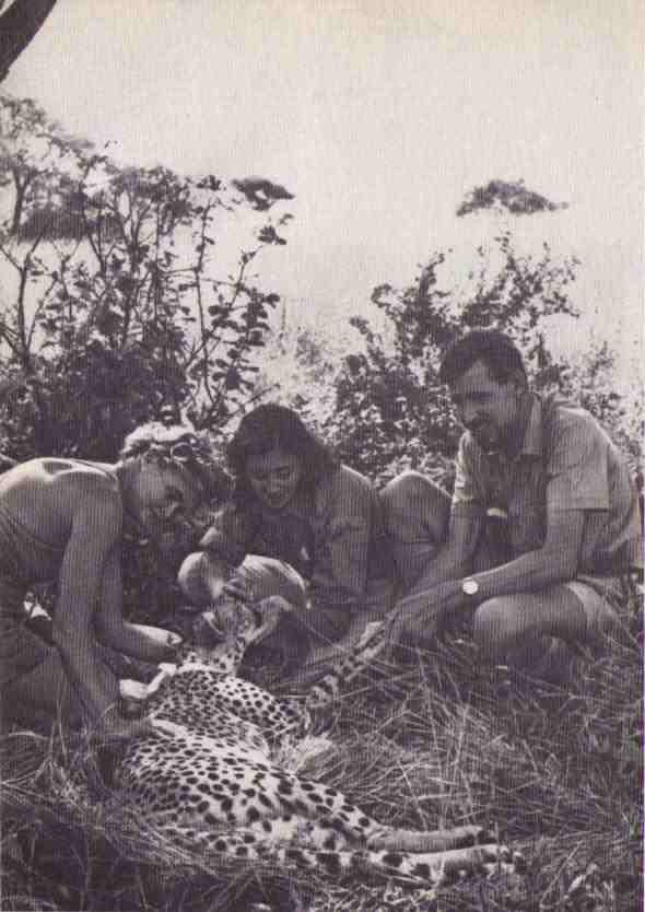 Пятнистый сфинкс. Пиппа бросает вызов (с иллюстрациями) - i_102.jpg