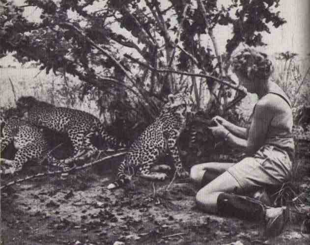 Пятнистый сфинкс. Пиппа бросает вызов (с иллюстрациями) - i_124.jpg