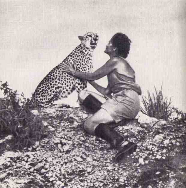 Пятнистый сфинкс. Пиппа бросает вызов (с иллюстрациями) - i_142.jpg