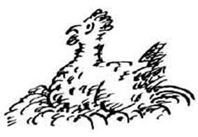 Чудной Фрэнк - i_034.jpg