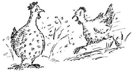 Чудной Фрэнк - i_036.jpg