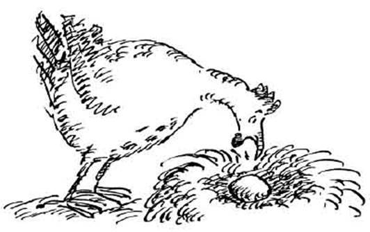 Чудной Фрэнк - i_040.jpg