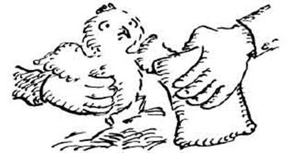 Чудной Фрэнк - i_048.jpg