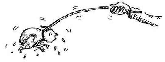 Чудной Фрэнк - i_068.jpg