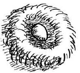 Чудной Фрэнк - i_076.jpg