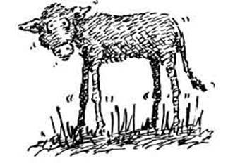 Чудной Фрэнк - i_083.jpg