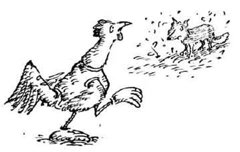 Чудной Фрэнк - i_103.jpg