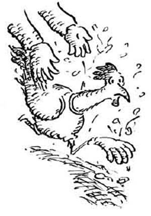 Чудной Фрэнк - i_106.jpg