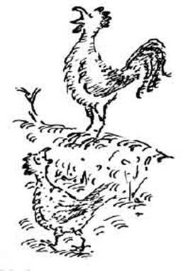 Чудной Фрэнк - i_120.jpg