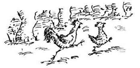 Чудной Фрэнк - i_122.jpg