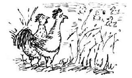 Чудной Фрэнк - i_125.jpg