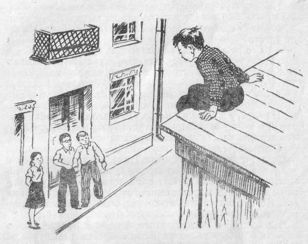 Володя + Маша - _0.jpg