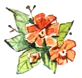 Леди Дейзи - i_062.png