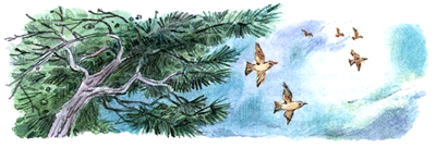 Леди Дейзи - i_063.png