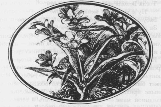 Избранные произведения в двух томах: том I - i_030.jpg