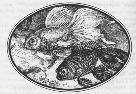 Избранные произведения в двух томах: том I - i_041.jpg