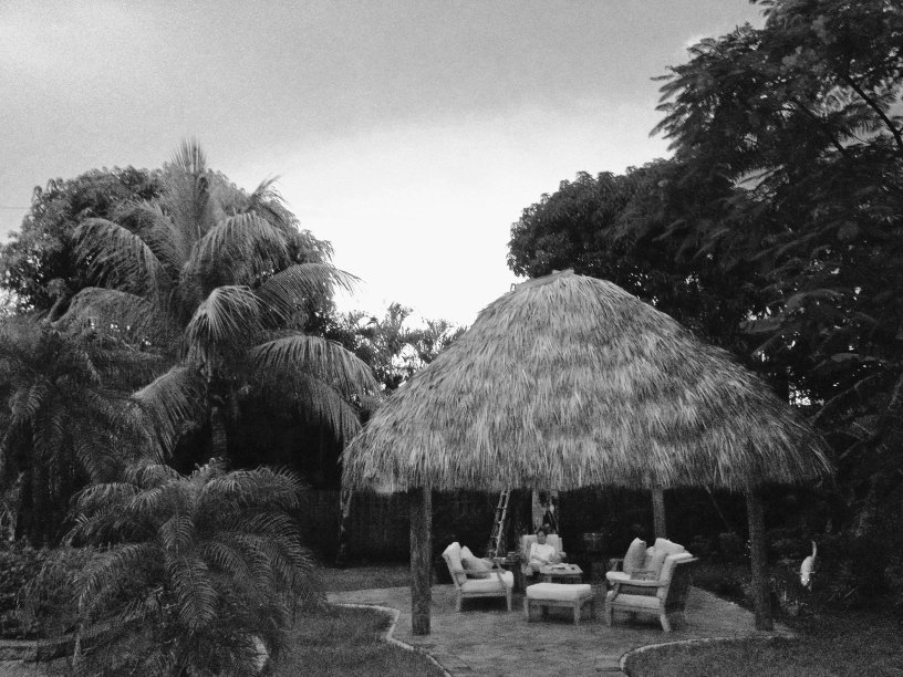 Пока не сказано прощай . Год жизни с радостью - i_025.jpg