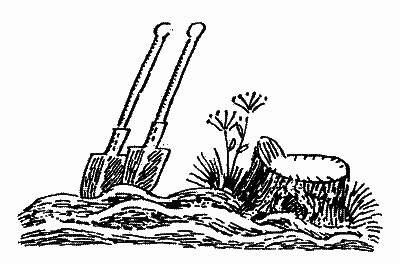 Щоденник Миколки Синицина - i_045.png