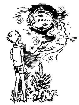 Фрегат Звенящий (сборник) - i_172.png