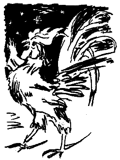 Фрегат Звенящий (сборник) - i_173.png