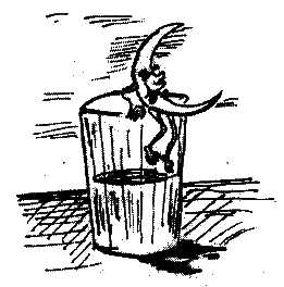 Фрегат Звенящий (сборник) - i_175.png