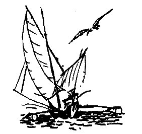 Фрегат Звенящий (сборник) - i_204.png