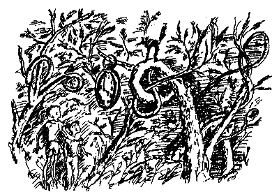 Фрегат Звенящий (сборник) - i_217.png