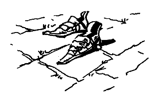 Фрегат Звенящий (сборник) - i_233.png