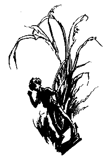 Фрегат Звенящий (сборник) - i_234.png