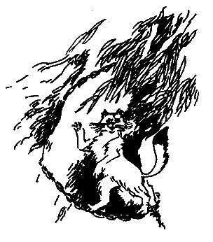 Фрегат Звенящий (сборник) - i_260.png