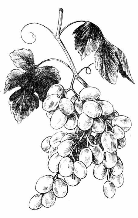 Давайте рисовать - i_030.jpg