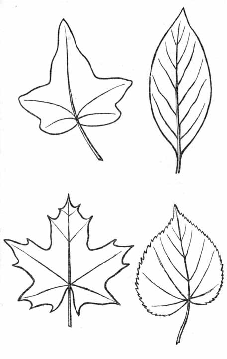 Давайте рисовать - i_035.jpg