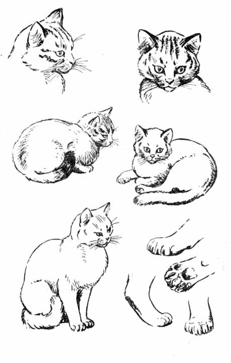 Давайте рисовать - i_037.jpg