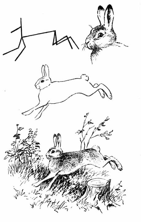 Давайте рисовать - i_038.jpg