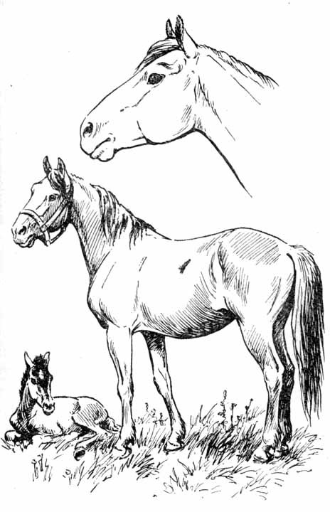 Давайте рисовать - i_039.jpg