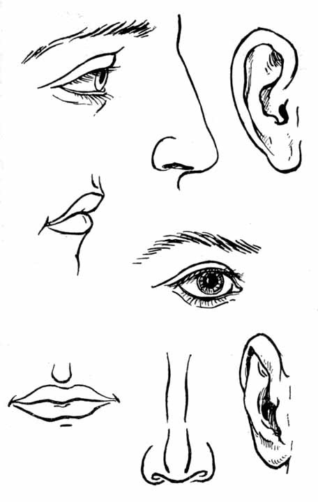 Давайте рисовать - i_041.jpg