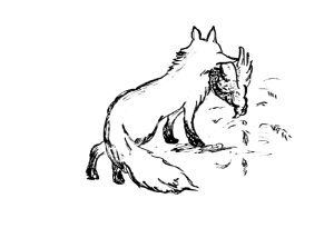 Баллада о том, как матушка лису ловила - i_004.jpg