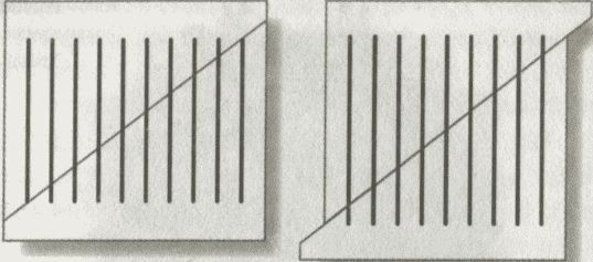 Алекс в стране чисел. Необычайное путешествие в волшебный мир математики - i_099.jpg