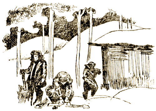 Важный разговор [Повести, рассказы] - i_013.png