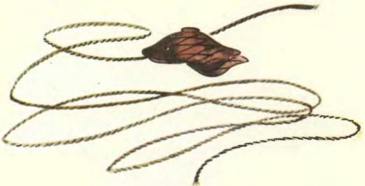 Про маленького поросенка Плюха - i_023.jpg