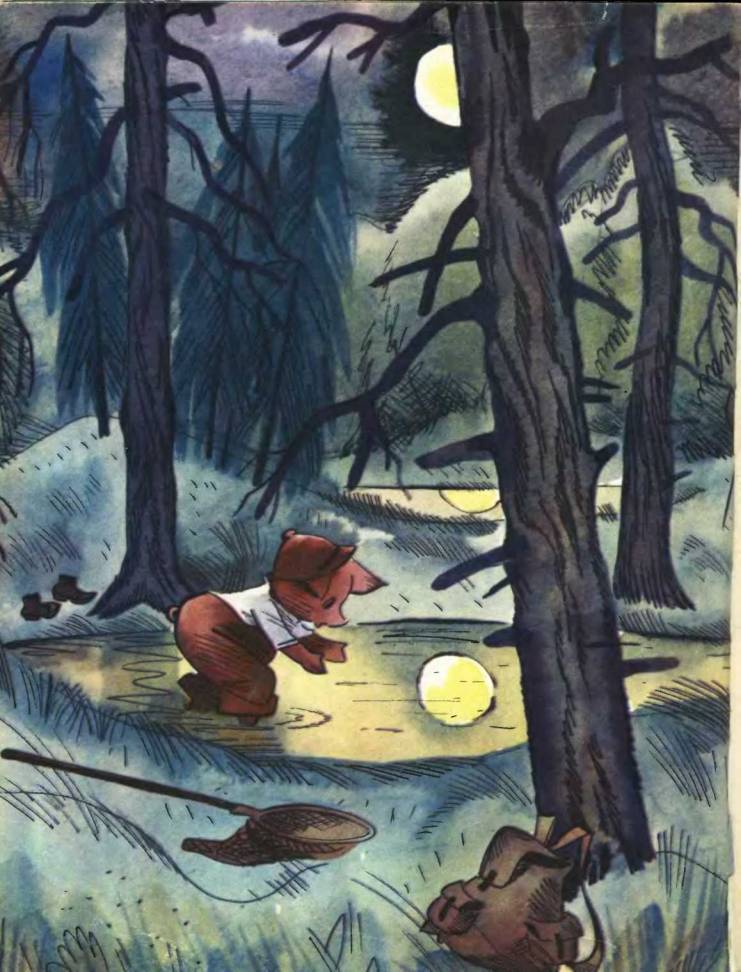 Про маленького поросенка Плюха - i_024.jpg