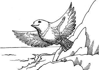 Кольцо белого волка - _35.jpg