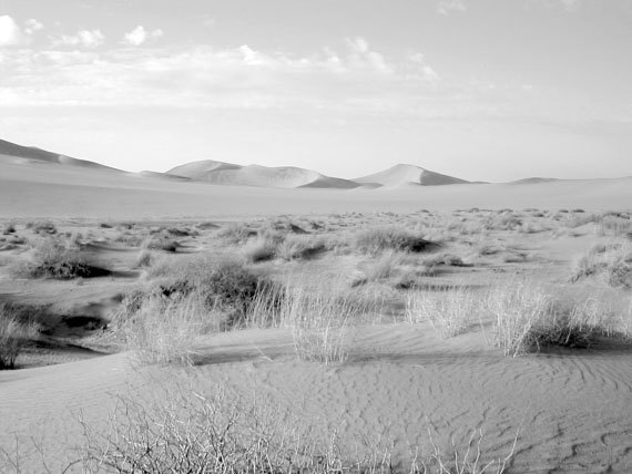 100 великих катастроф (с илл.) - i_048.jpg