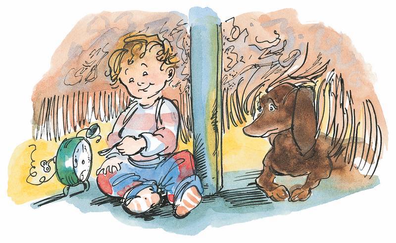 Папа, мама, бабушка, восемь детей и грузовик (сборник) - i_089.jpg