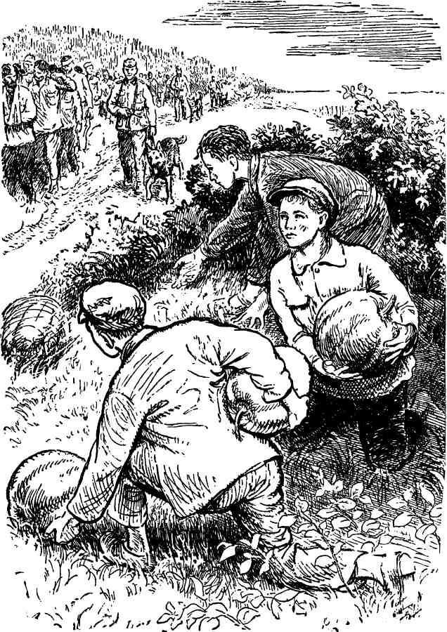 Поворотный круг - img_7.jpeg