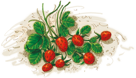 Пеппи Длинныйчулок в стране Веселии - i_005.png