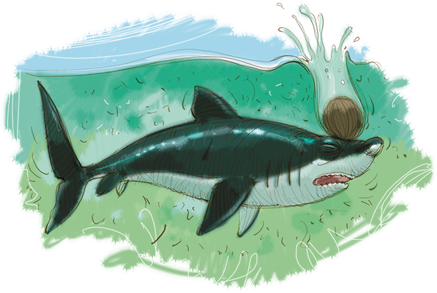 Пеппи Длинныйчулок в стране Веселии - i_026.png